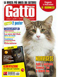 gatto magazine